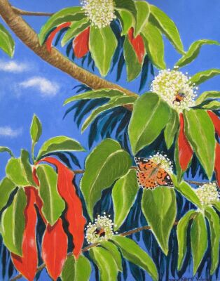 Butterflies & Bees on Stranvesia Tree