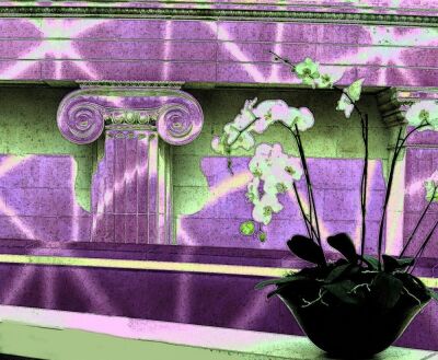 Orchidismo