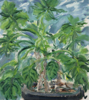 Morley's Green Plant