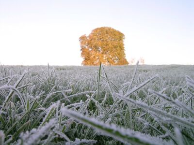 Frosty Gloucestershire