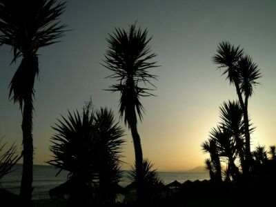 Marbella Sunset