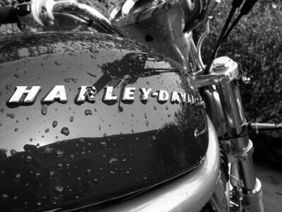 Harley Heaven