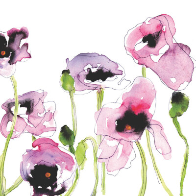 Wild Poppies