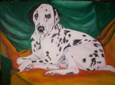 Toby Boy
