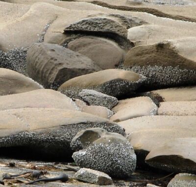 Gabriola Island II