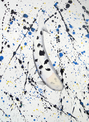 Koi Bekko Splash
