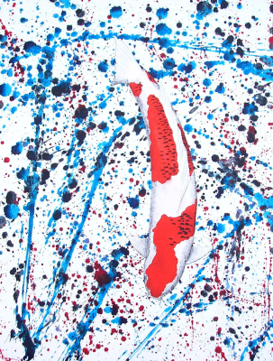 Koi Koromo Splash