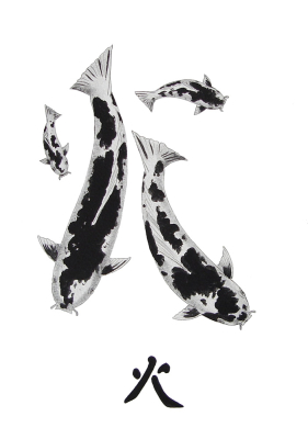 Japanese Koi Utsuri Mono Feung Shui Symbol For Fire