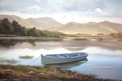 Connemara Lake Boat