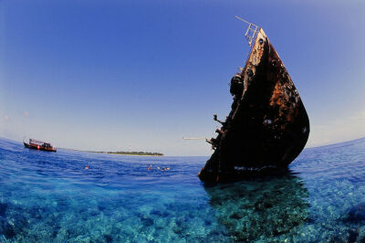 Shipwrecked
