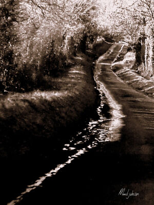 Along The Lane