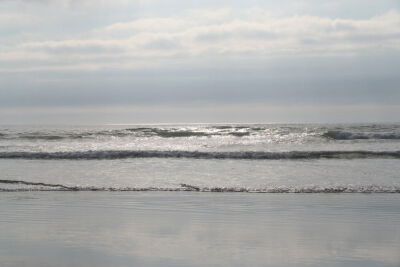 Water's Edge