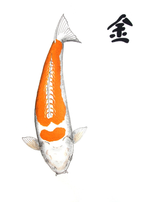 Japanese Koi Doitsu Hariwake Feng Shui Metal