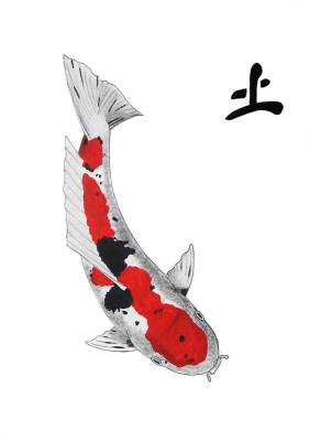 Japanese Koi Sanke Feng Shui Earth