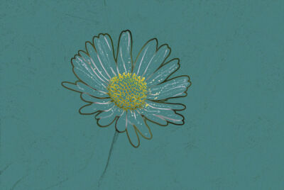 Daisy
