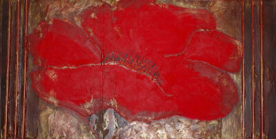 red poppy on chocolate