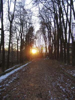 path