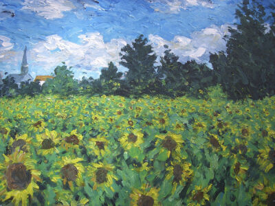 field of sunflowers