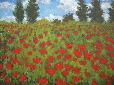 field of poppies