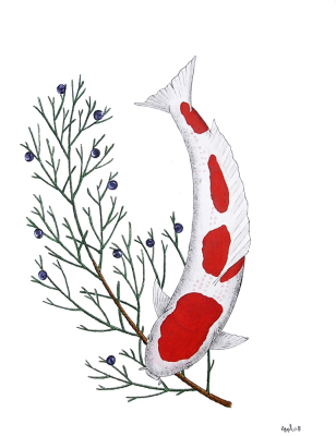 Japanese Koi Kohaku Rocky Mountain Juniper Tree