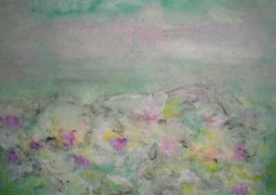 Water Lillies
