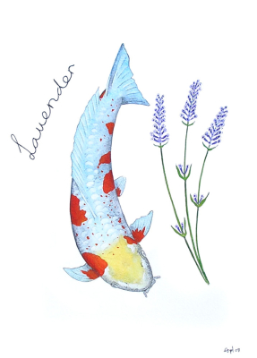 Koi Doitsu Ochiba Lavender