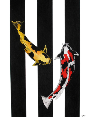 Japanese Koi Doitsu Showa and Showa Sumi Black Lines