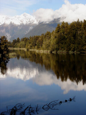 Fox Glacier Reflection