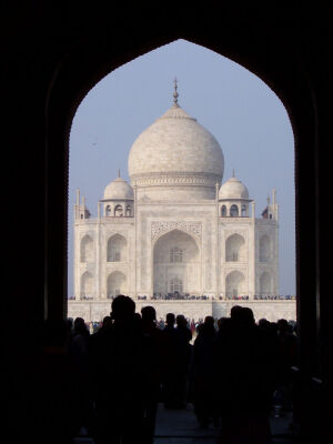 Arched Beauty