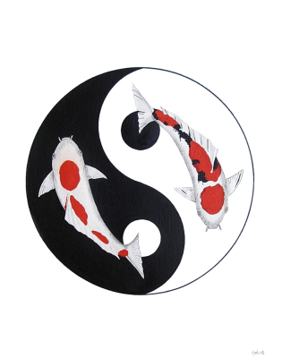 Koi Kohaku and Taisho Sanke Yin Yang