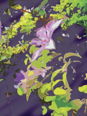 Clematis 1
