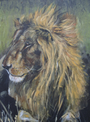 thoughtful lion