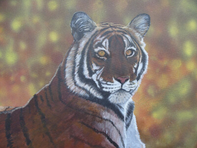 tiger