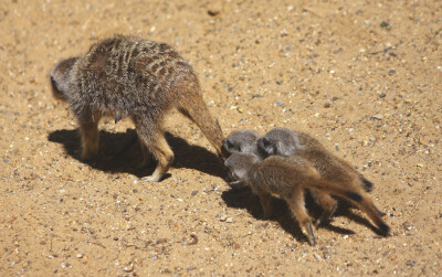 Where you going mum
