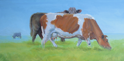 Peek A Moo