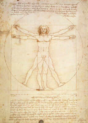 Vitruvian Man, c.1492