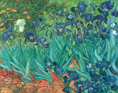 Irises, 1889