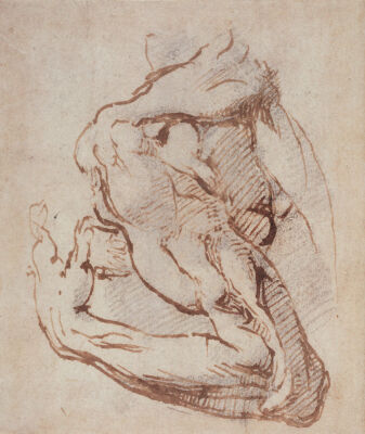 Study of an Arm