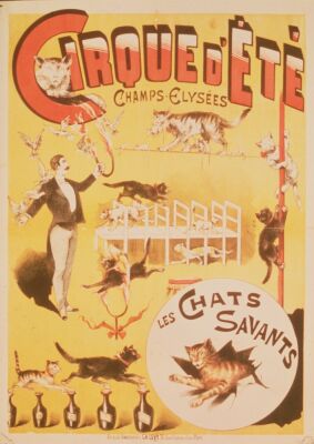 Poster advertising the Cirque d'Ete in the Champs Elysees