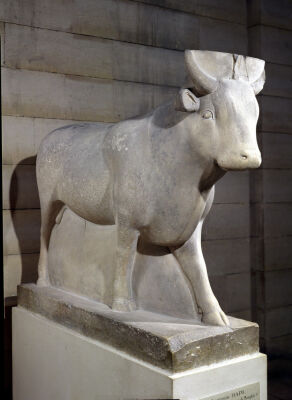 The Apis Bull from the Serapeum Memphis