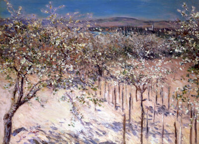 Orchard with Flowering Apple Trees Colombes