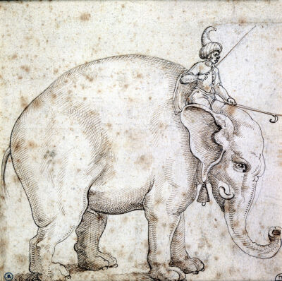 Elephant Hanno and his Mahout