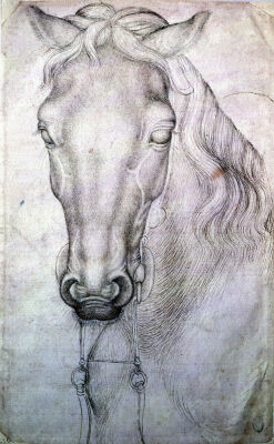 Head of a Horse