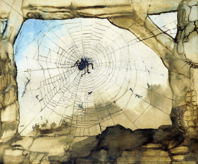 Vianden through a Spider's Web