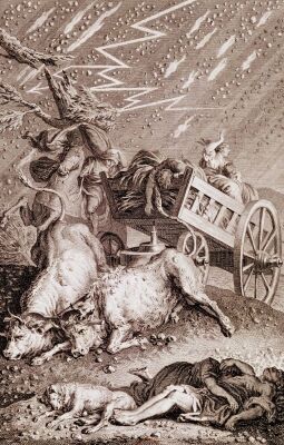The Plagues of Egypt'' The Plagues of Diseased Cattle Boils and Hail
