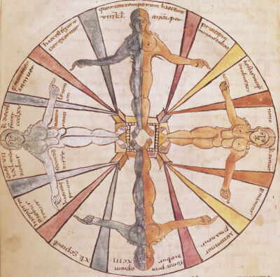 Wheel of the seasons and months from 'De Natura Rerum'