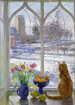 Snow Shadows and Cat