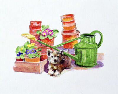 Terrier amongst Terracotta Pots