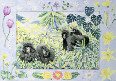 Mountain Gorillas