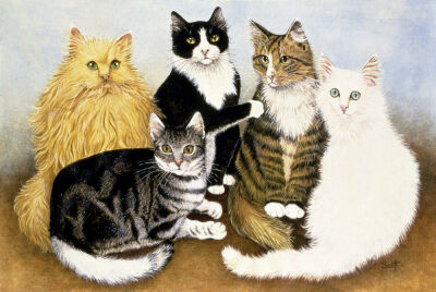 Cat's Cradle